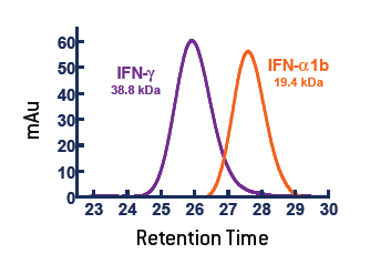 Active form of IFN-Gamma